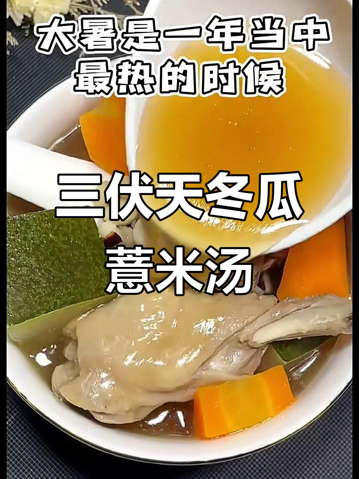 夏季三伏天必备!冬瓜薏米水鸭汤,清凉又滋补