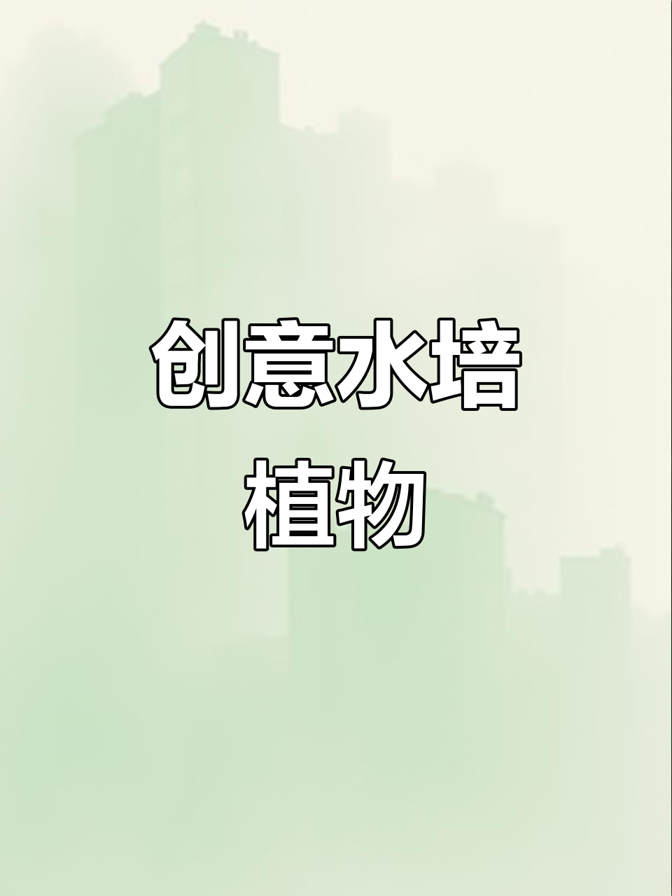 水培蔬菜大作战:从奇亚籽到西瓜,全都试试!