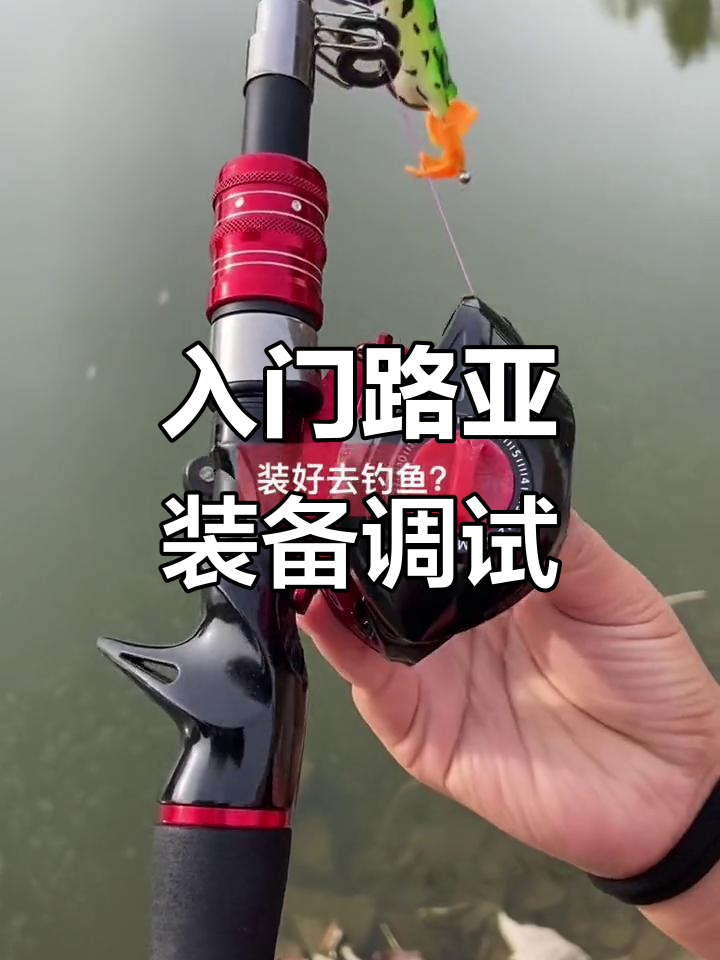 路亚新手必看:如何组装环路亚竿与轮座