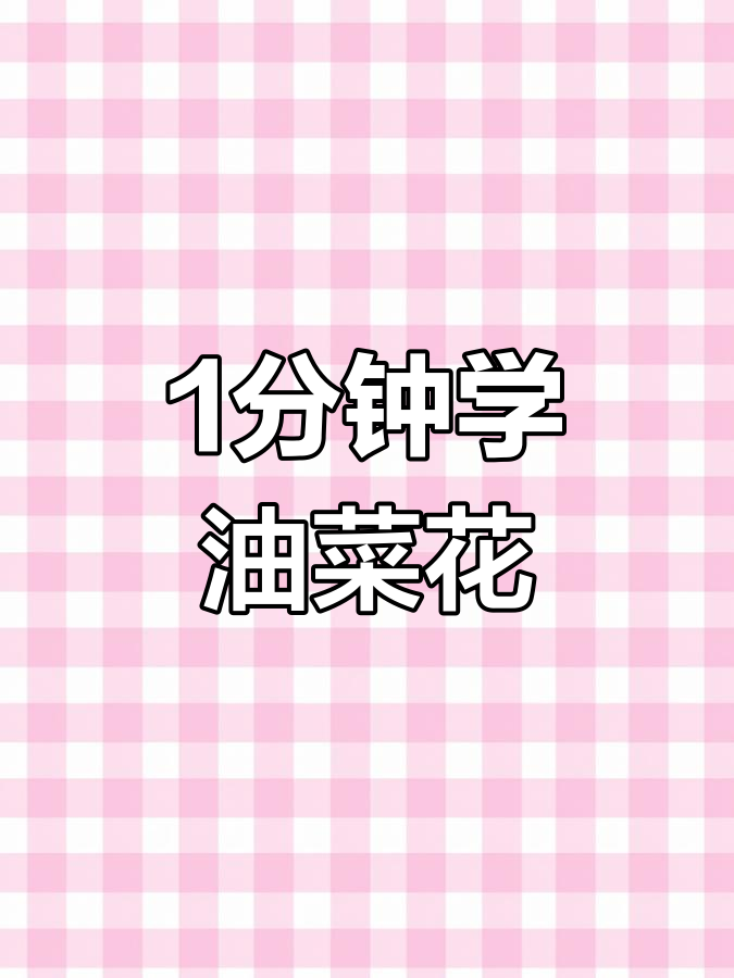 一分钟学会画油菜花,简单又有趣!