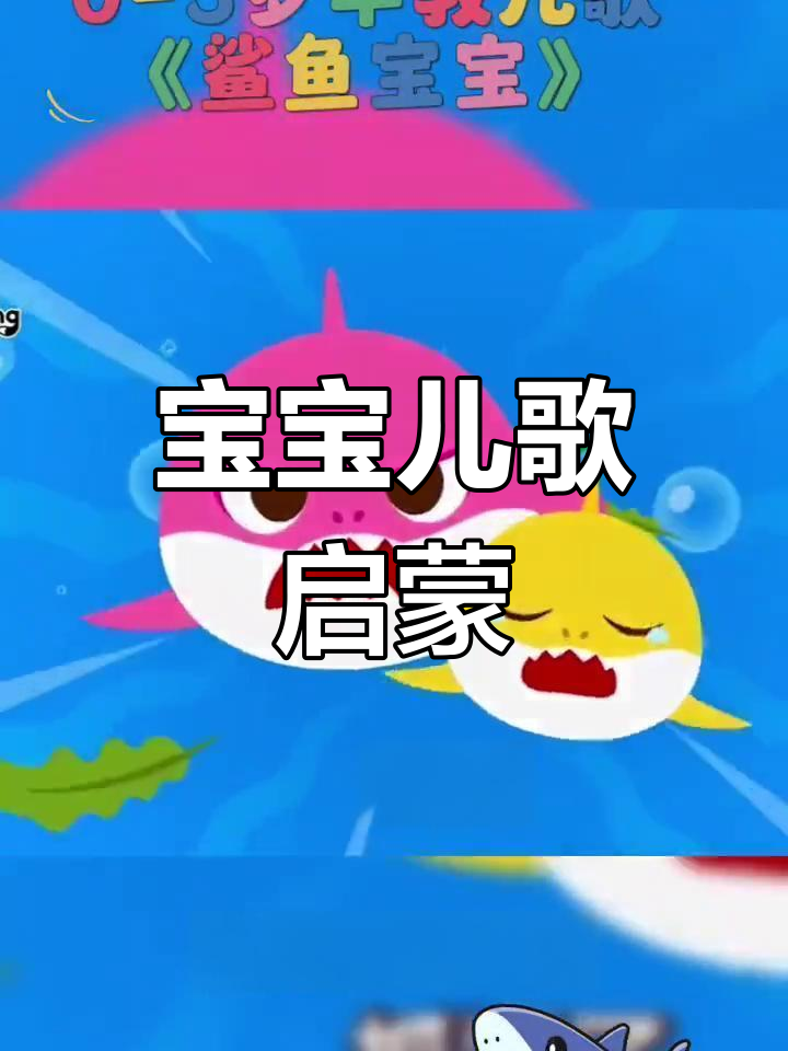 鲨鱼宝宝来啦!