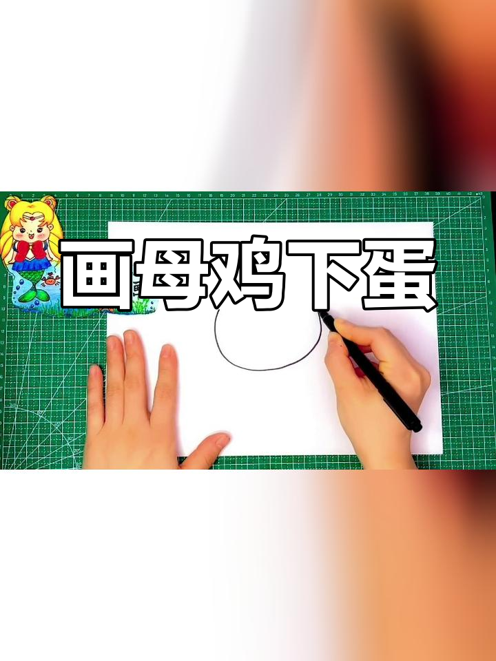 母鸡抱窝下蛋过程