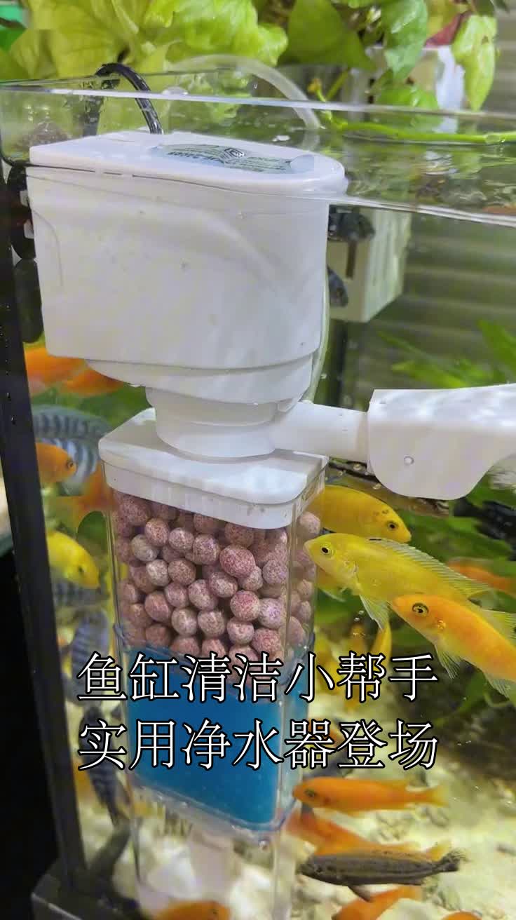 鱼缸清洁小帮手实用净水器登场