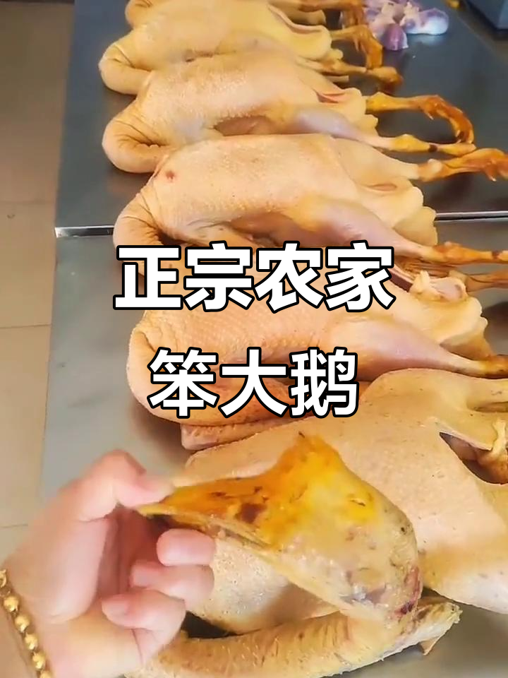 农村散养大鹅,质量上乘,黄皮红肉让人放心