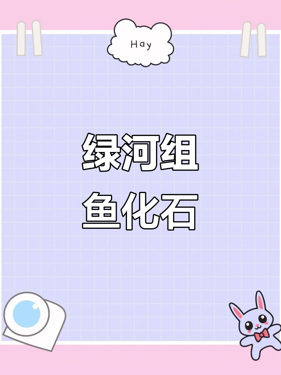 绿河组超完整鱼类化石,远古生物的惊人发现