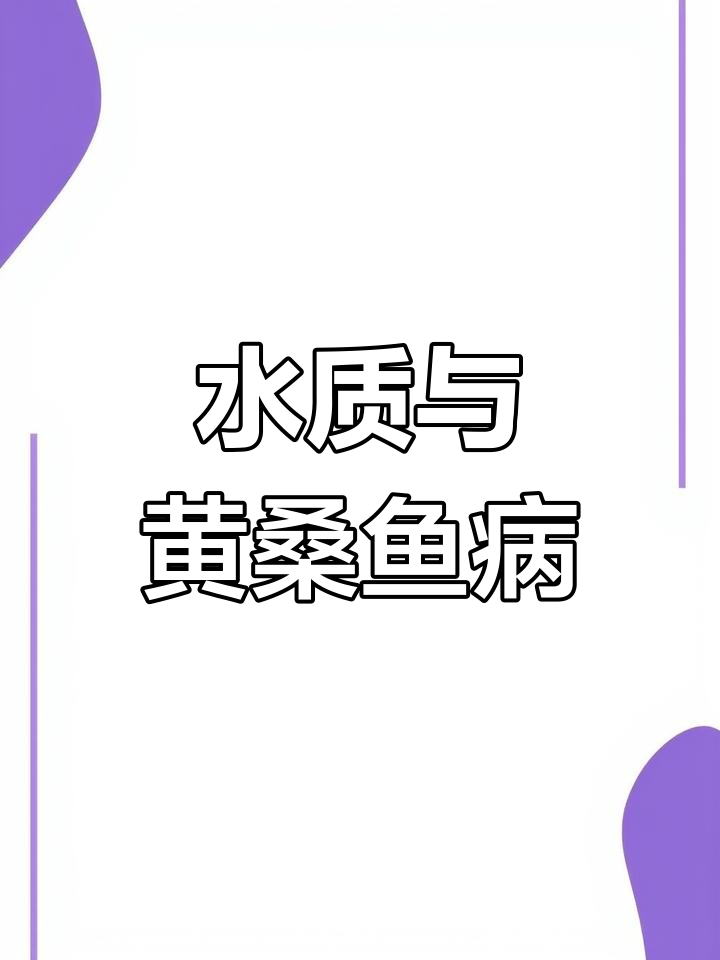 黄桑鱼大肚子病,水质恶化是元凶