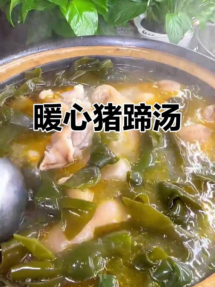 天气转凉,来碗猪蹄汤温暖身心,海带结解腻超赞!