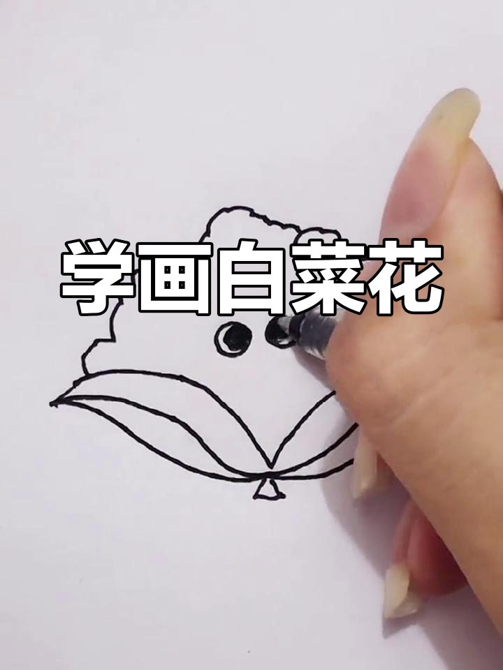 画一朵像花的白菜花
