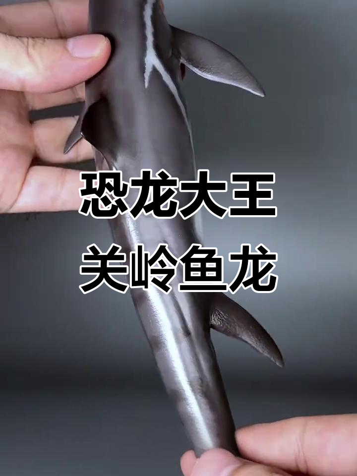 PNSO恐龙大王 关岭鱼龙:古生物的奇妙之旅