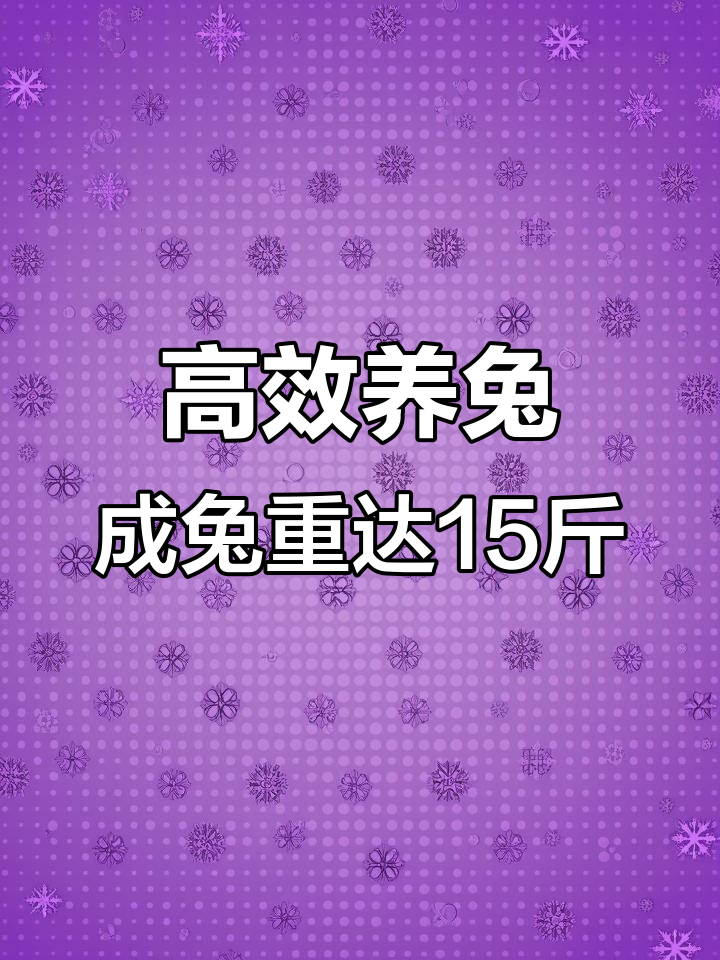 高产肉兔养殖技术,轻松饲养,成年可达15斤