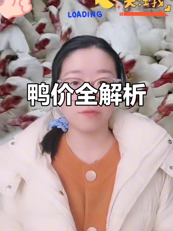 番鸭价格波动,黑、白骡鸭及麻鸭行情一网打尽!