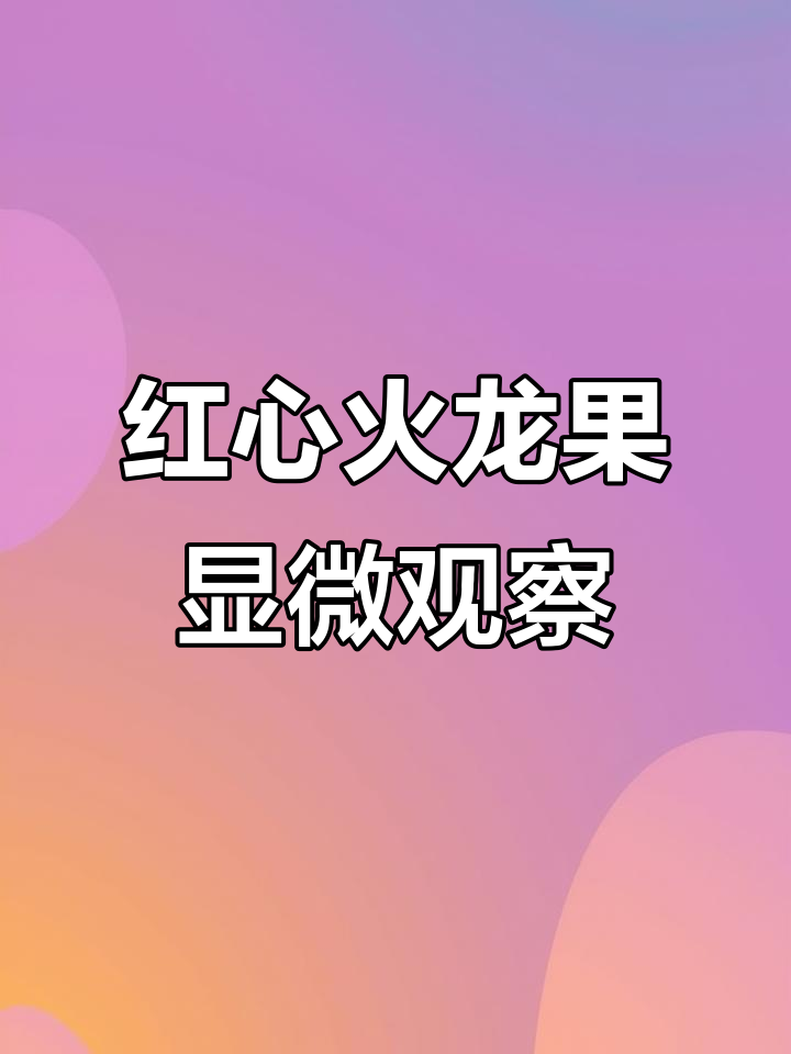 火龙果的微观世界，红心秘密大揭秘