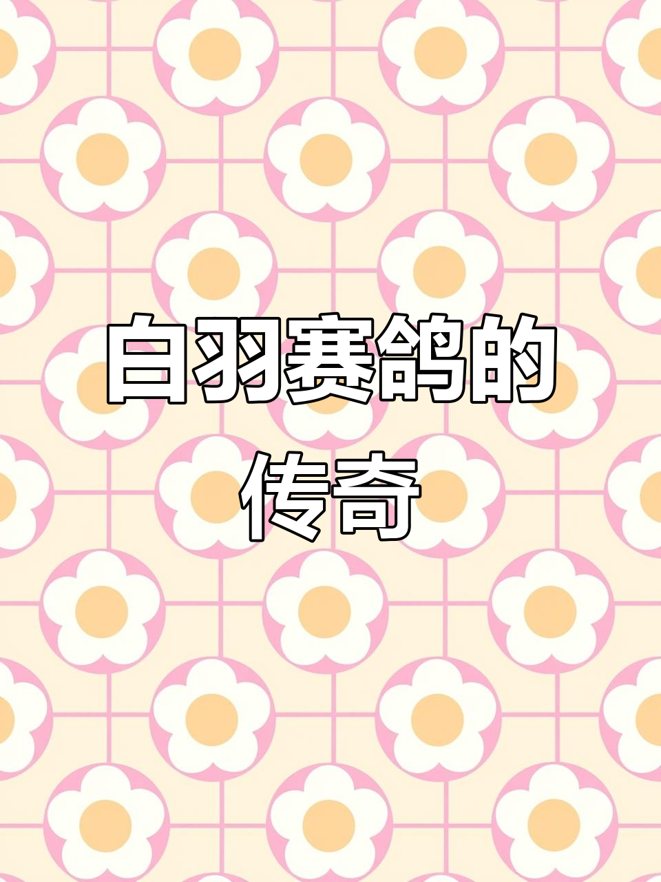 沈阳白赛鸽培育者杨兆强：从上海到全国，成就非凡