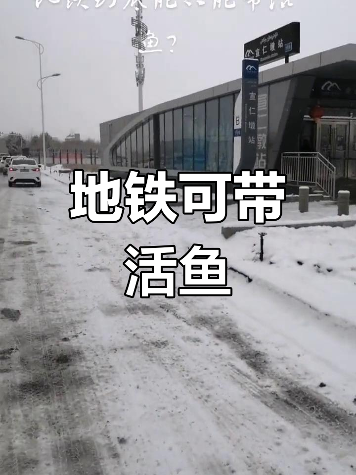 地铁能带活鱼吗?实测结果来了