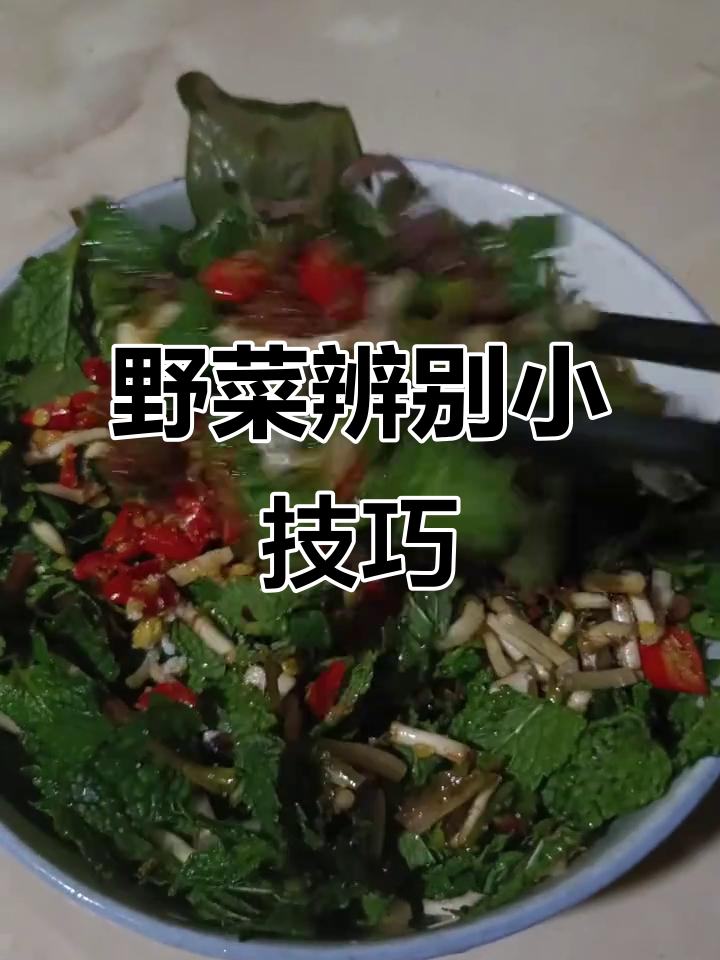 树花菜与树胡子的区别,凉拌美味超赞!