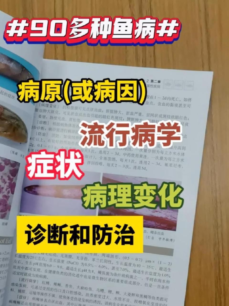 特大好消息,汪开毓教授的《鱼病诊治彩色图谱(第二版)》,终于在本店上架啦!鱼病防治 鱼鳞都