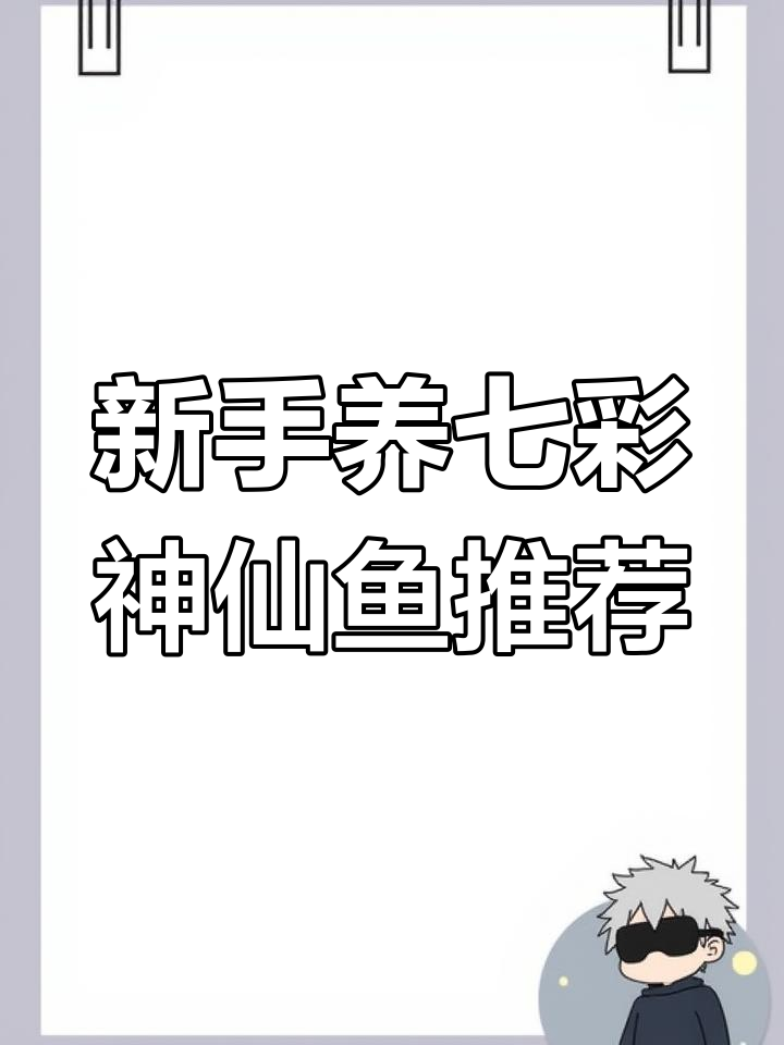 七彩神仙鱼入门品种全解析,适合新手养的练手鱼推荐