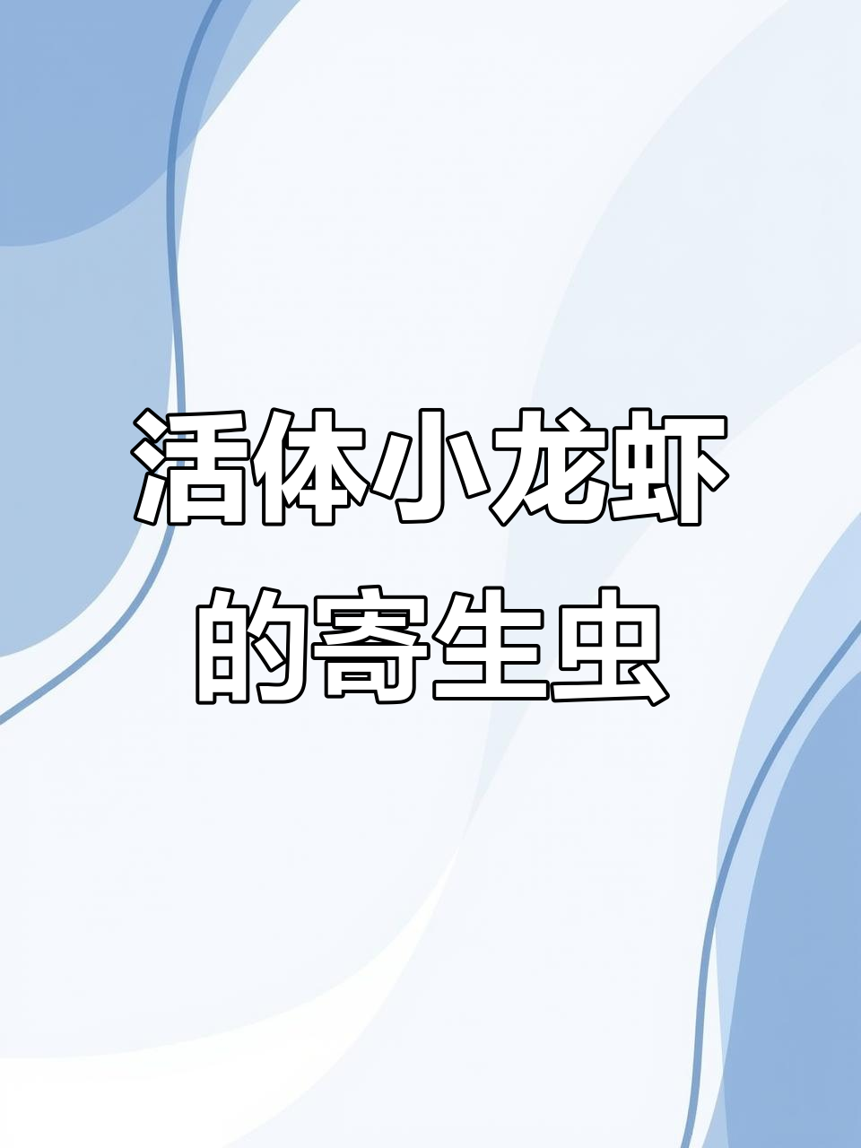 小龙虾体内寄生虫大揭秘,活体小龙虾到底有多脏?