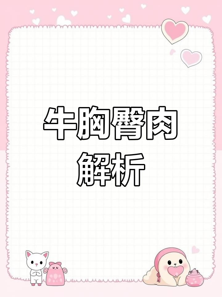 牛肉各部位分割详解:胸臀肉与烹饪技巧