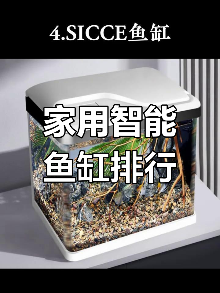 2024年智能鱼缸品牌推荐,家用首选!