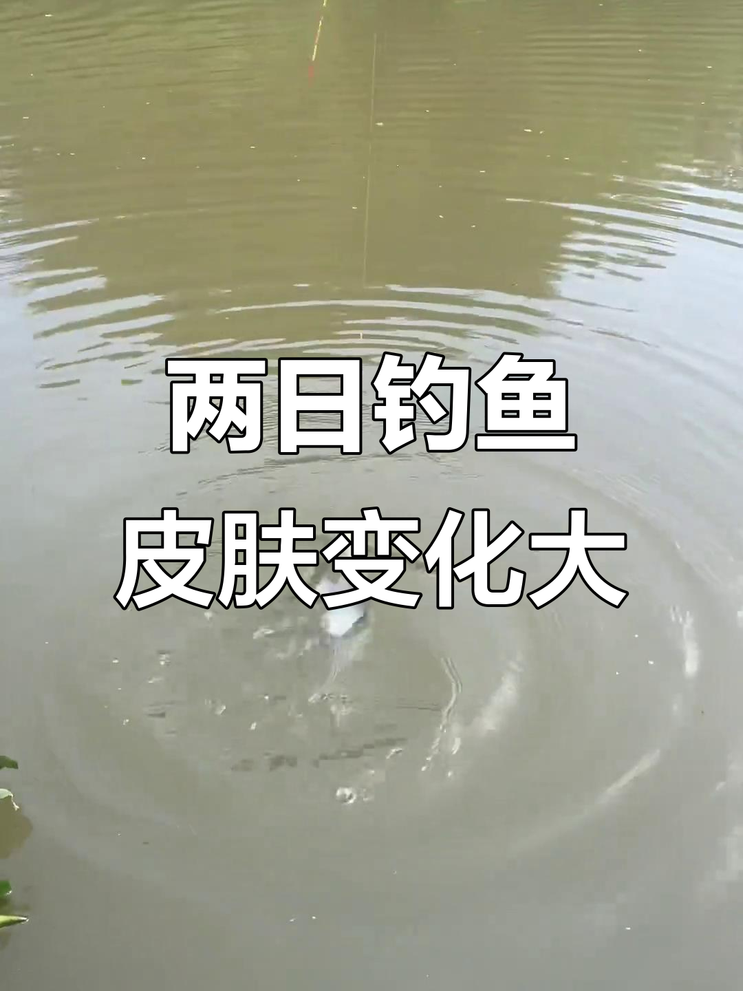 钓鱼两日,晒黑又变白!享受大自然的乐趣