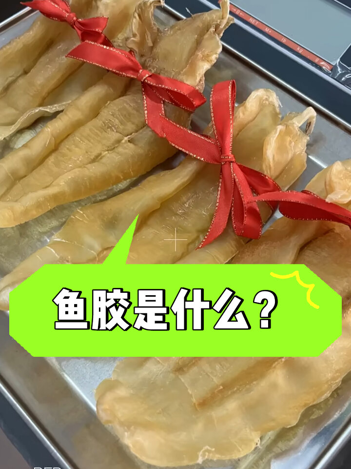 一分钟了解鱼胶是什么?
