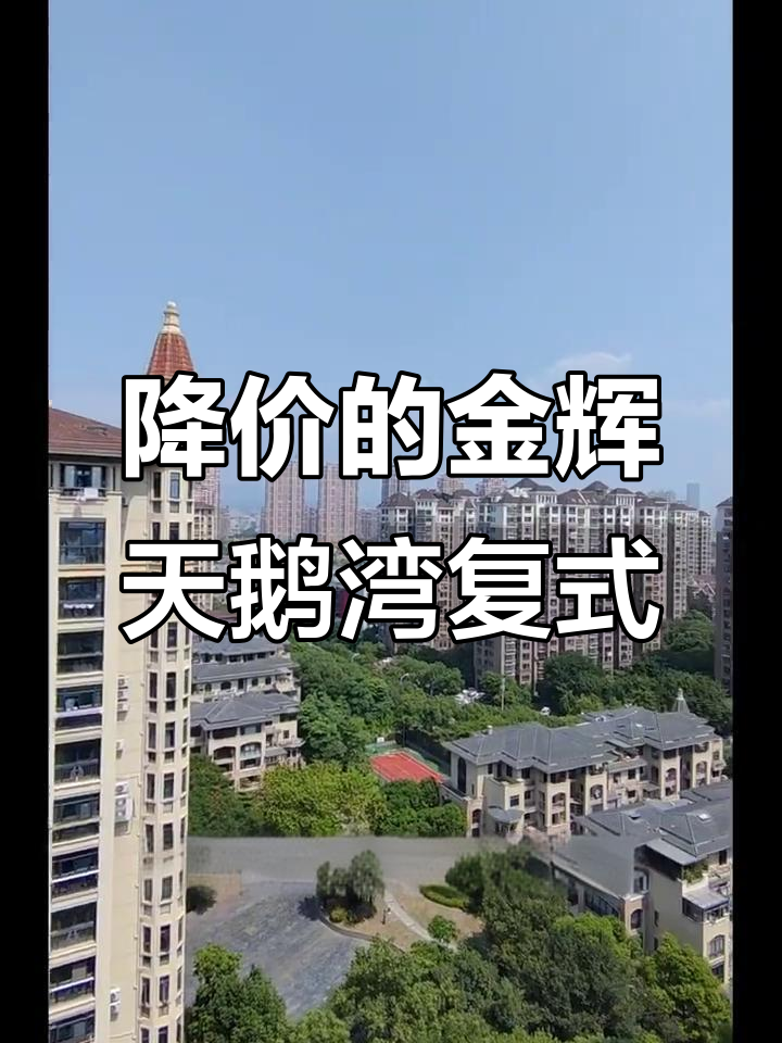 金辉天鹅湾顶楼复式，视野超棒！降价好房不容错过