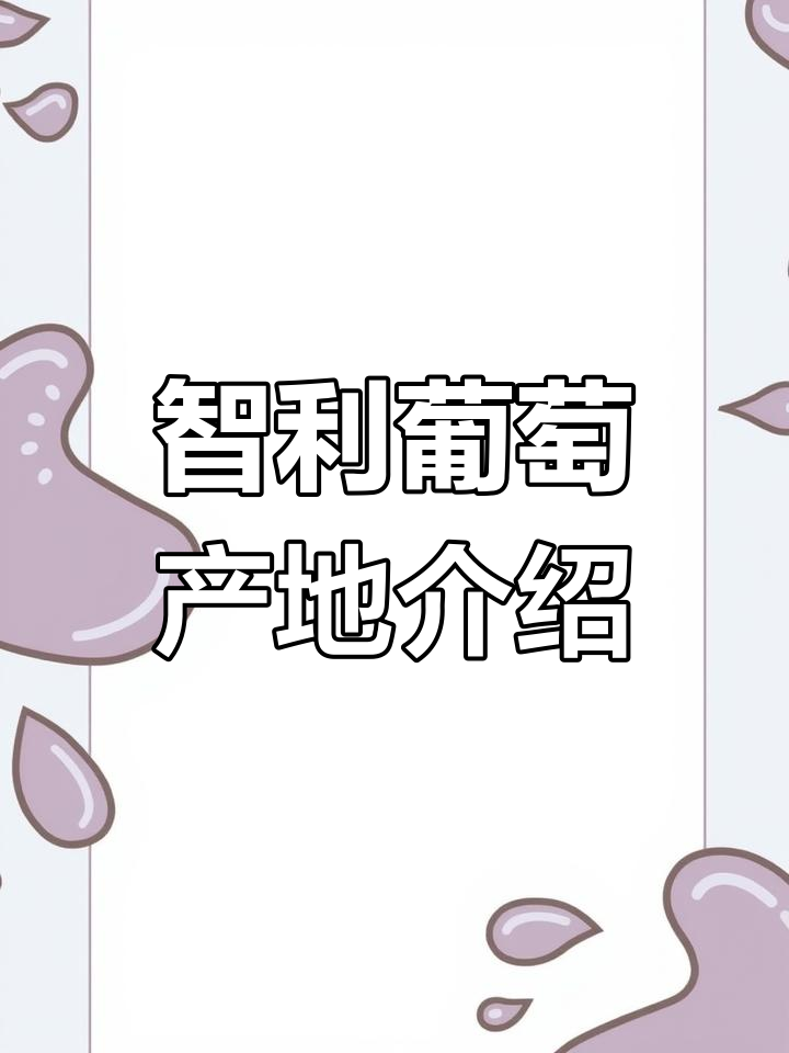 智利葡萄酒产区全解析:三大区域与13个子产区的独特风味