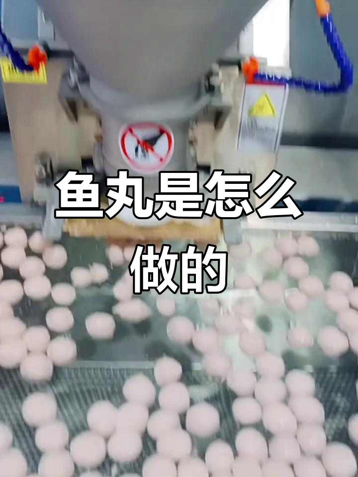 揭秘食品厂鱼丸制作全过程,原来是这样做出来的!