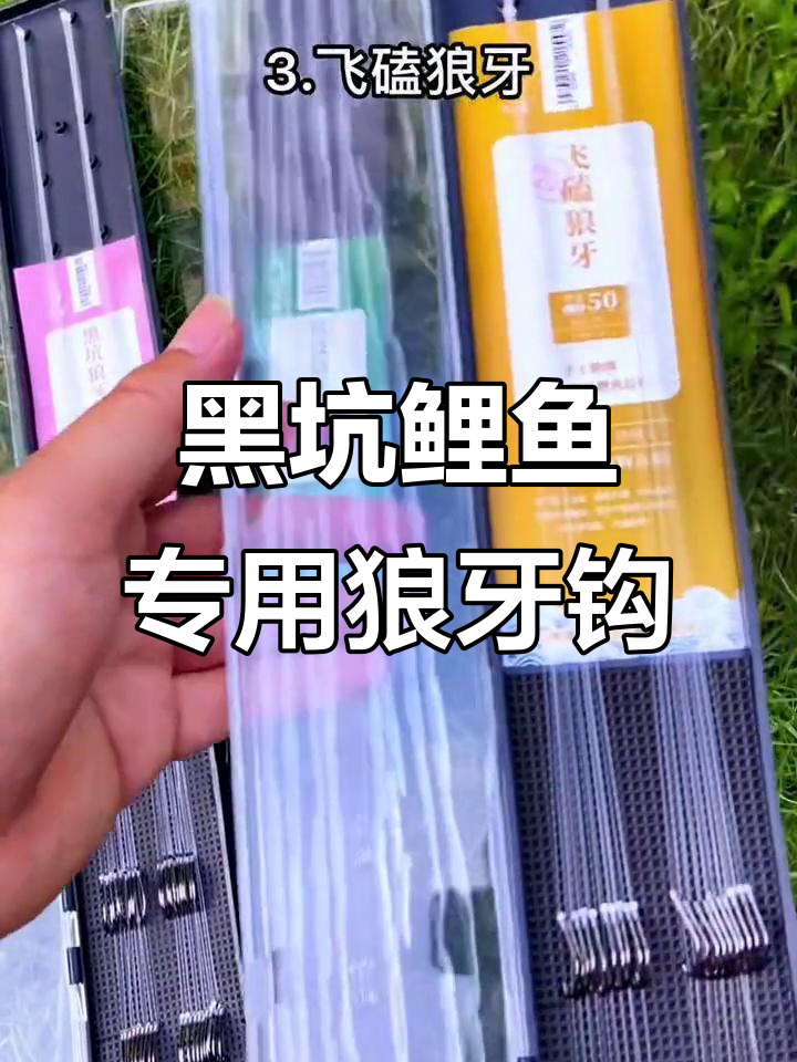狼牙鱼钩全解析:黑坑鲤鱼的必备装备