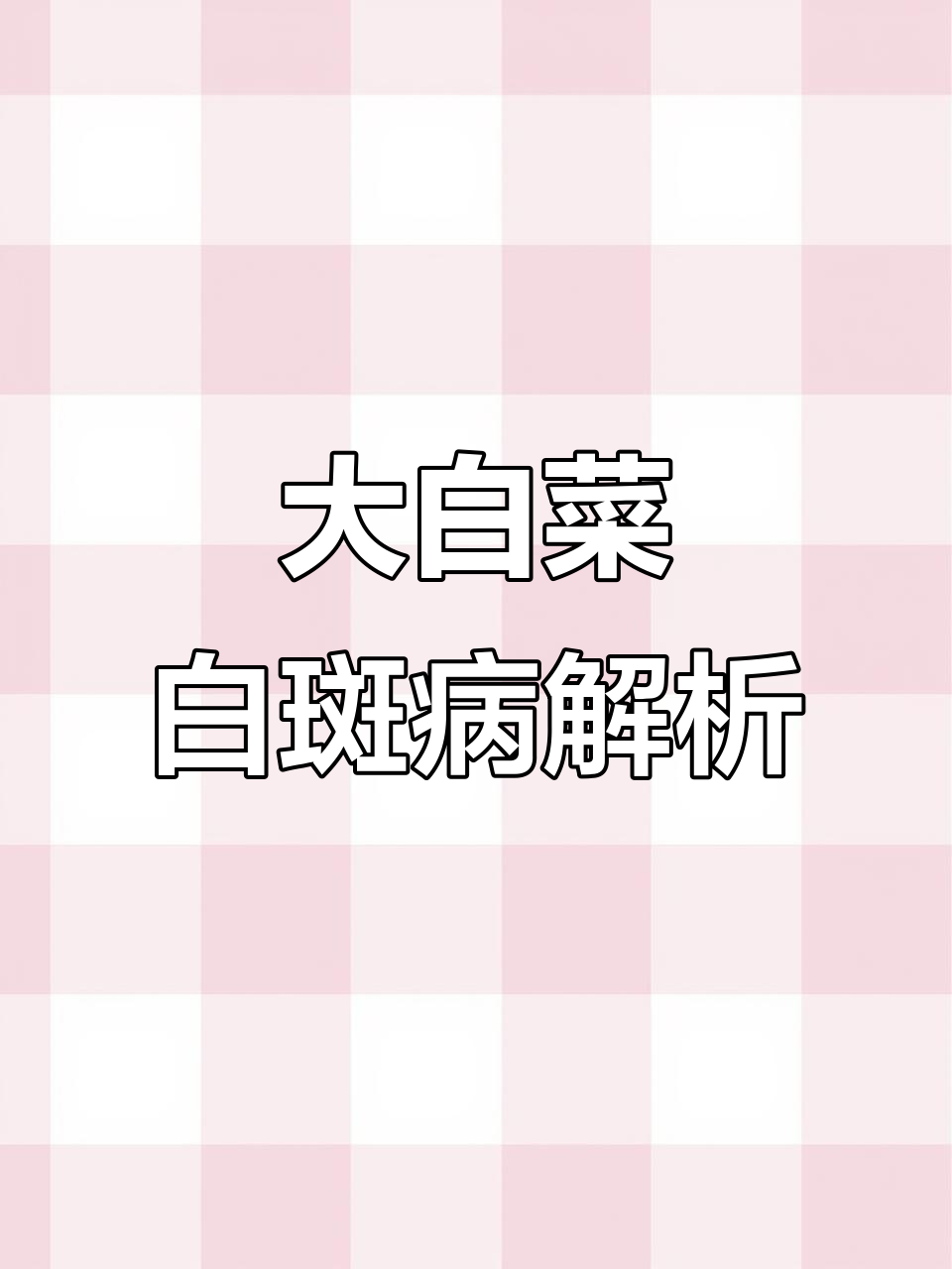 白菜白斑病症状与防治方法