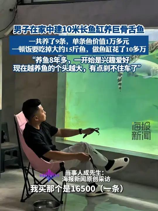 男子在家中建10米长鱼缸养巨骨舌鱼:一共养了9条,单条鱼价值1万多元