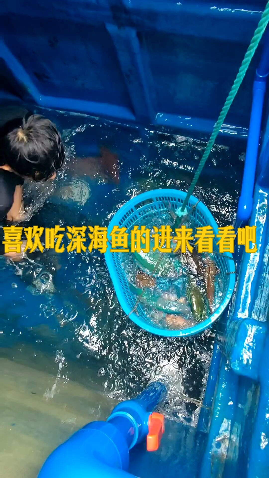 西沙五颜六色的海鱼你们见过吗