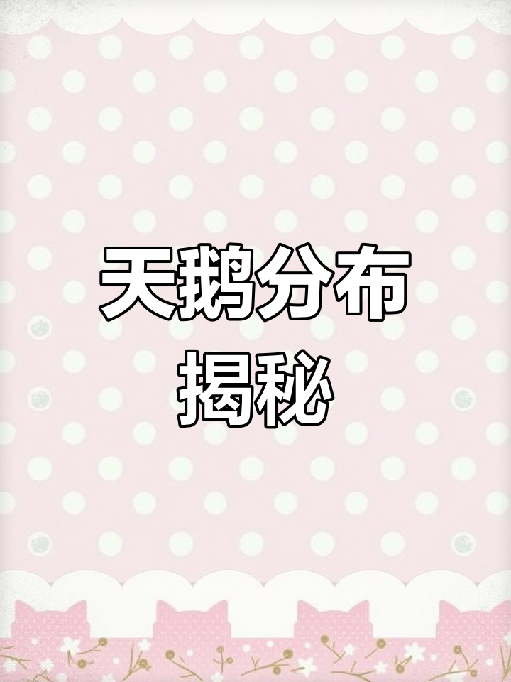 仁寿天鹅种类大揭秘,两种罕见鸟类现身!