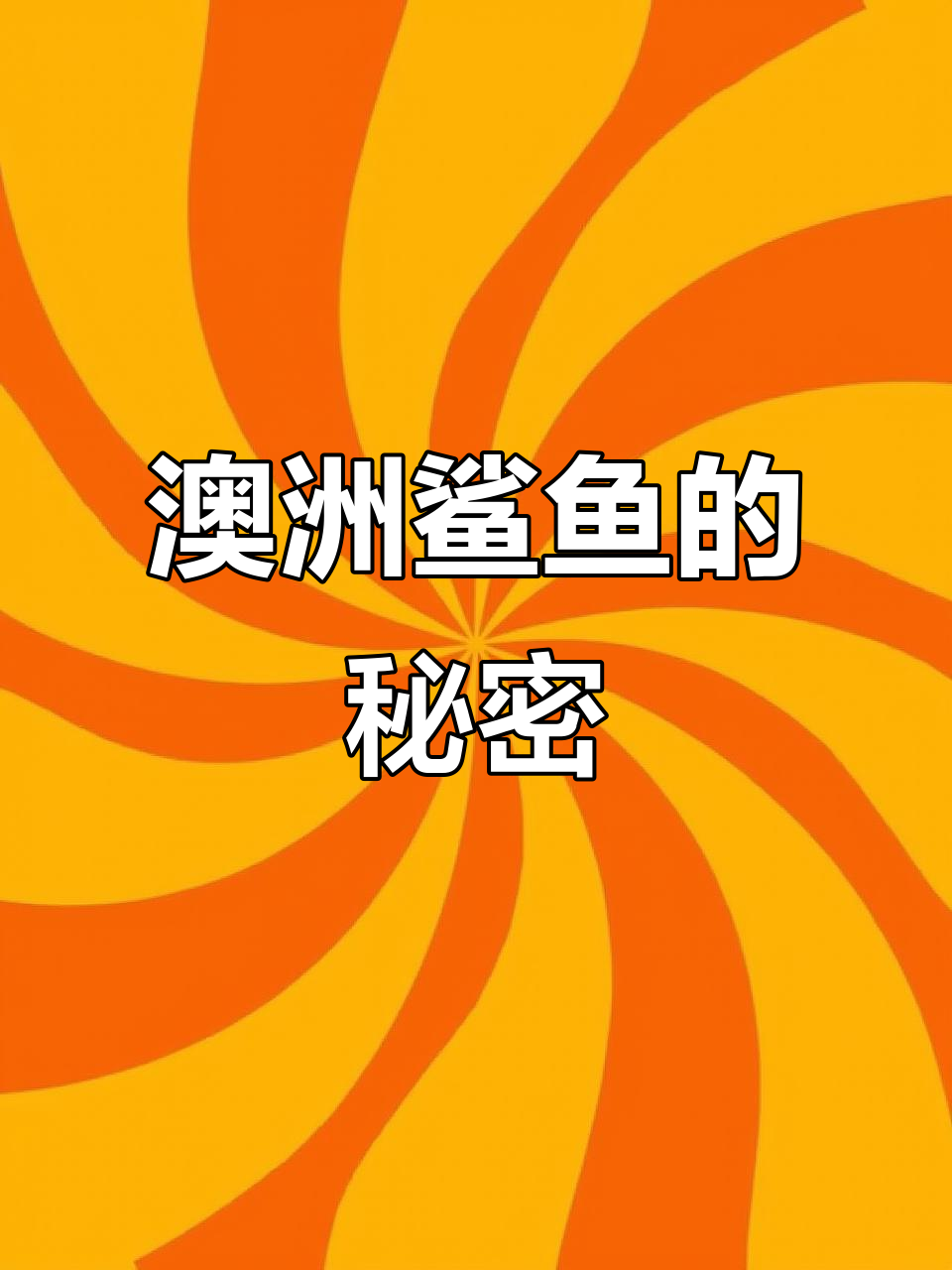 了解澳大利亚鲨鱼:从结构到捕食方式
