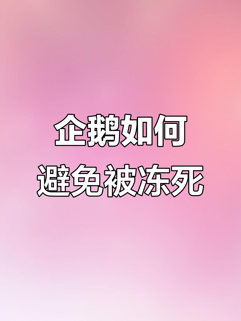 企鹅抱团取暖,最外层的真的会被冻死吗?