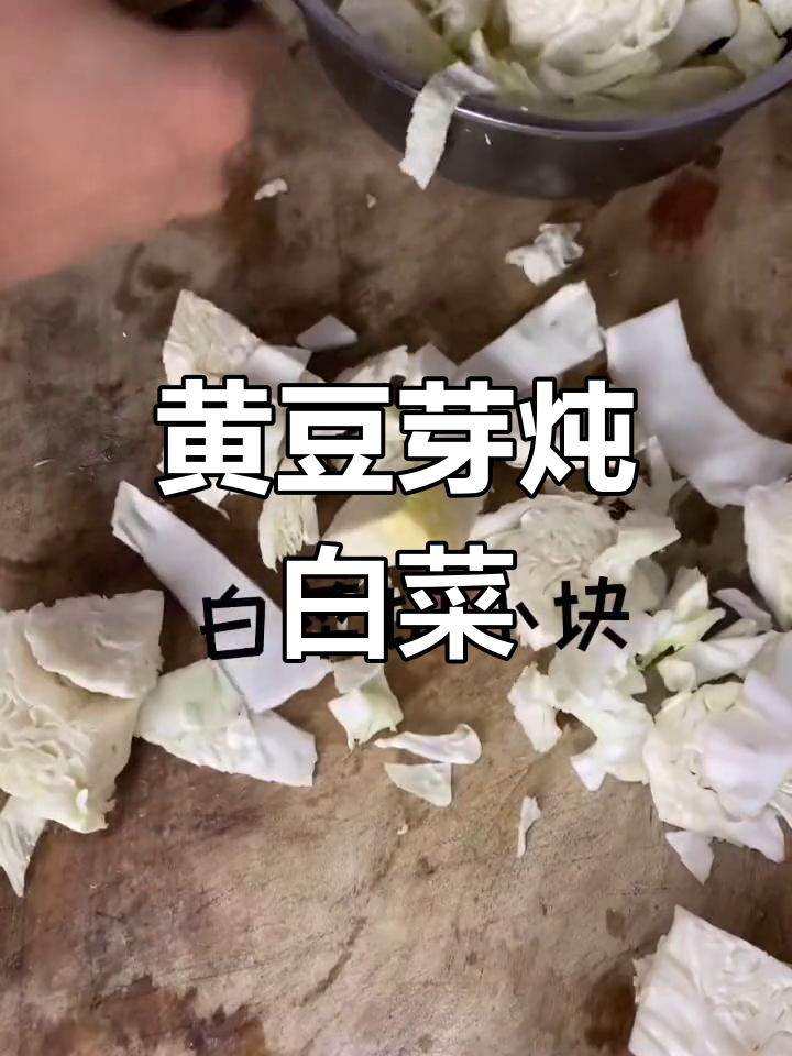 炖白菜黄豆芽的家常做法