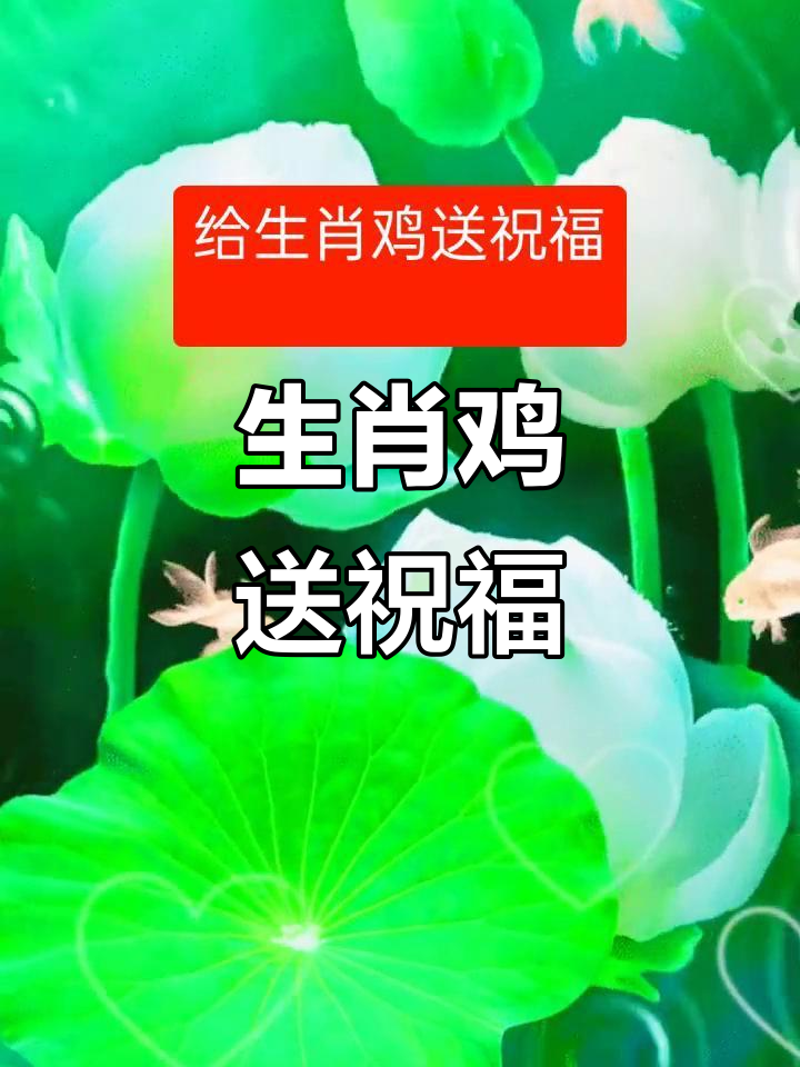 鸡年大吉，雄鸡振翅展宏图