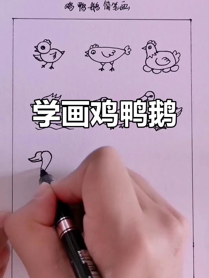 零基础学画鸡鸭鹅,简单又有趣!