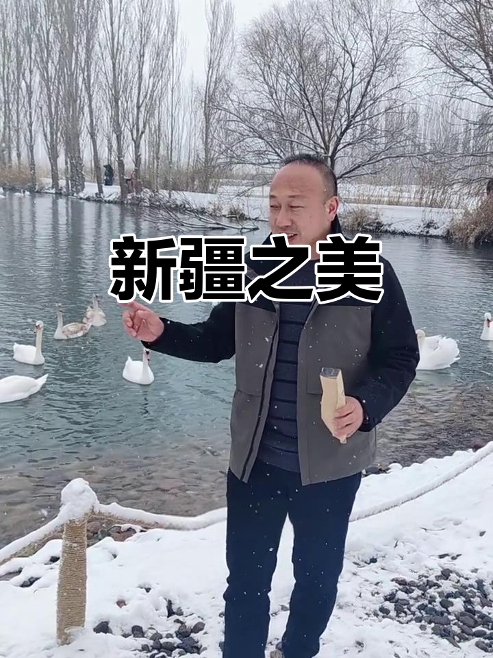 新疆美景如画,天鹅治愈心灵,随手一拍都是壁纸