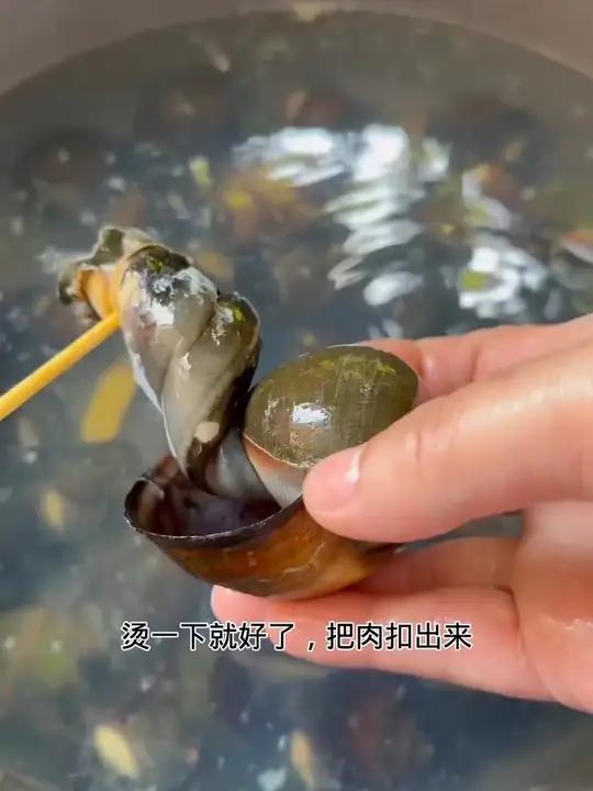 泰式凉拌田螺教程酸辣爽口脆 泰国美食舌尖上大叔内容启发搜索泰国凉拌教程