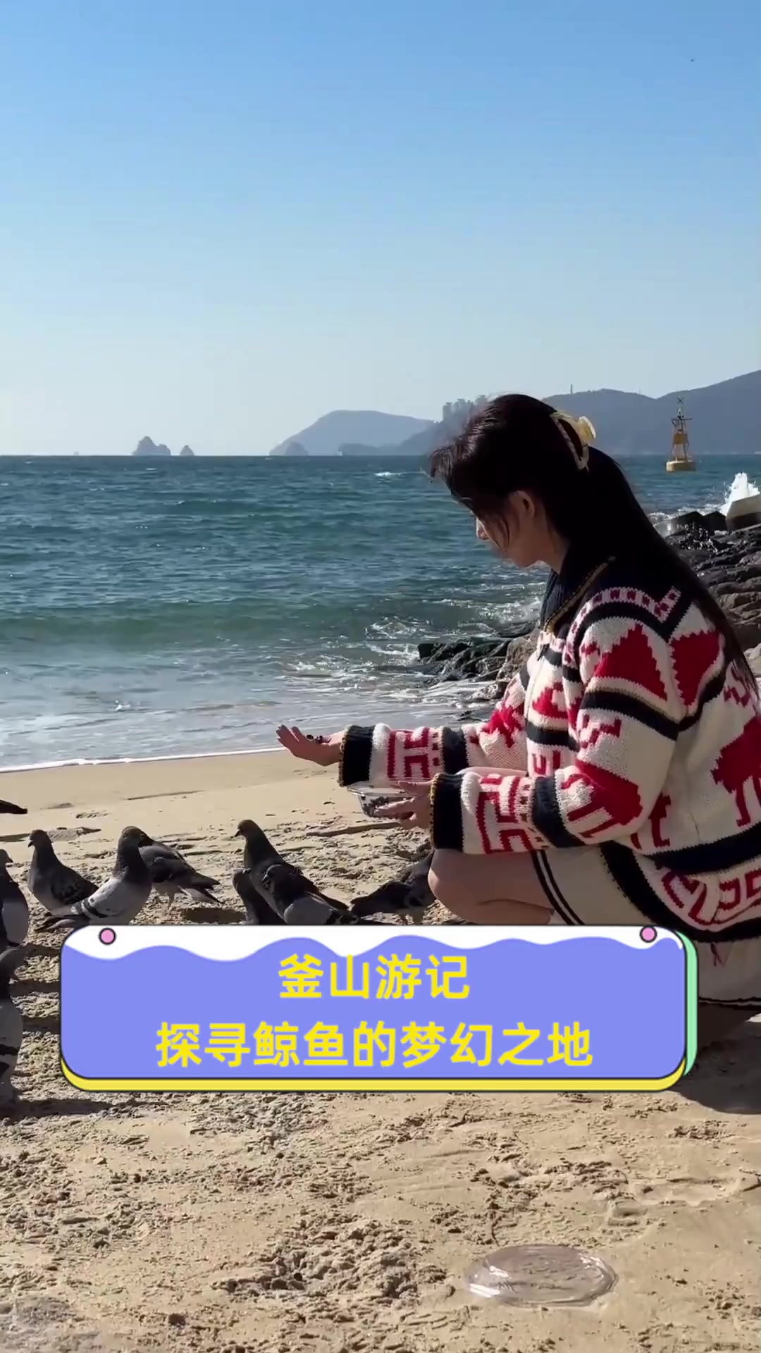 釜山游记,探寻鲸鱼的梦幻之地