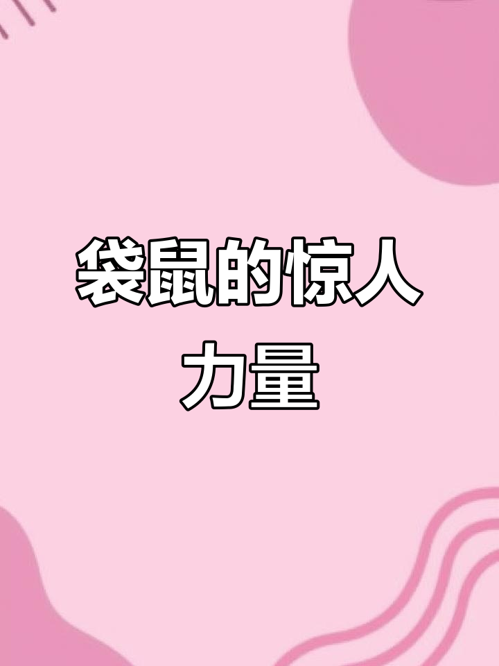 袋鼠肌肉比男友还强,看它如何称霸动物界