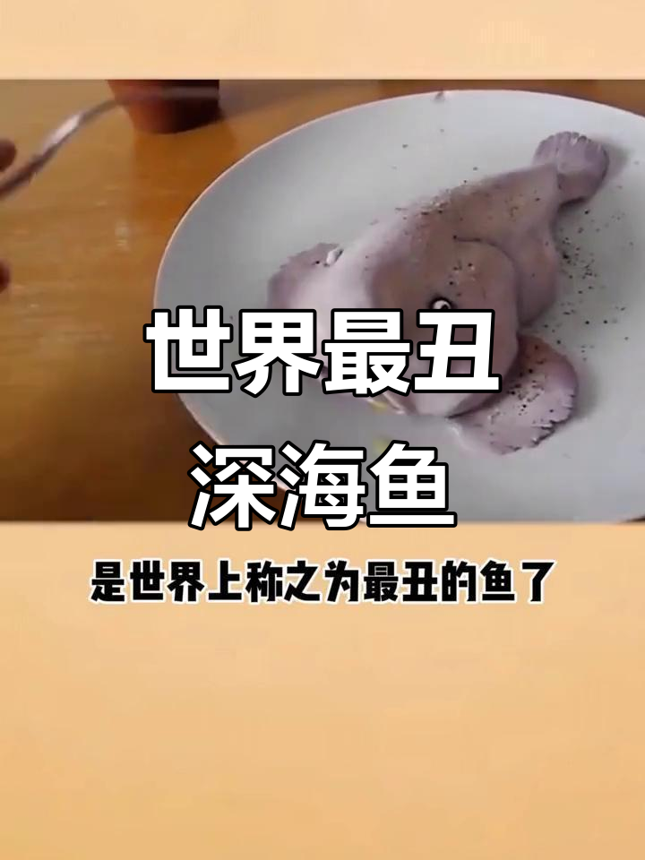 世界上最丑的深海鱼,长相让人崩溃怀疑人生