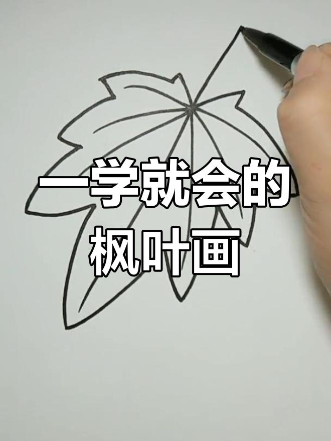 轻松学会枫叶简笔画,简单又好玩