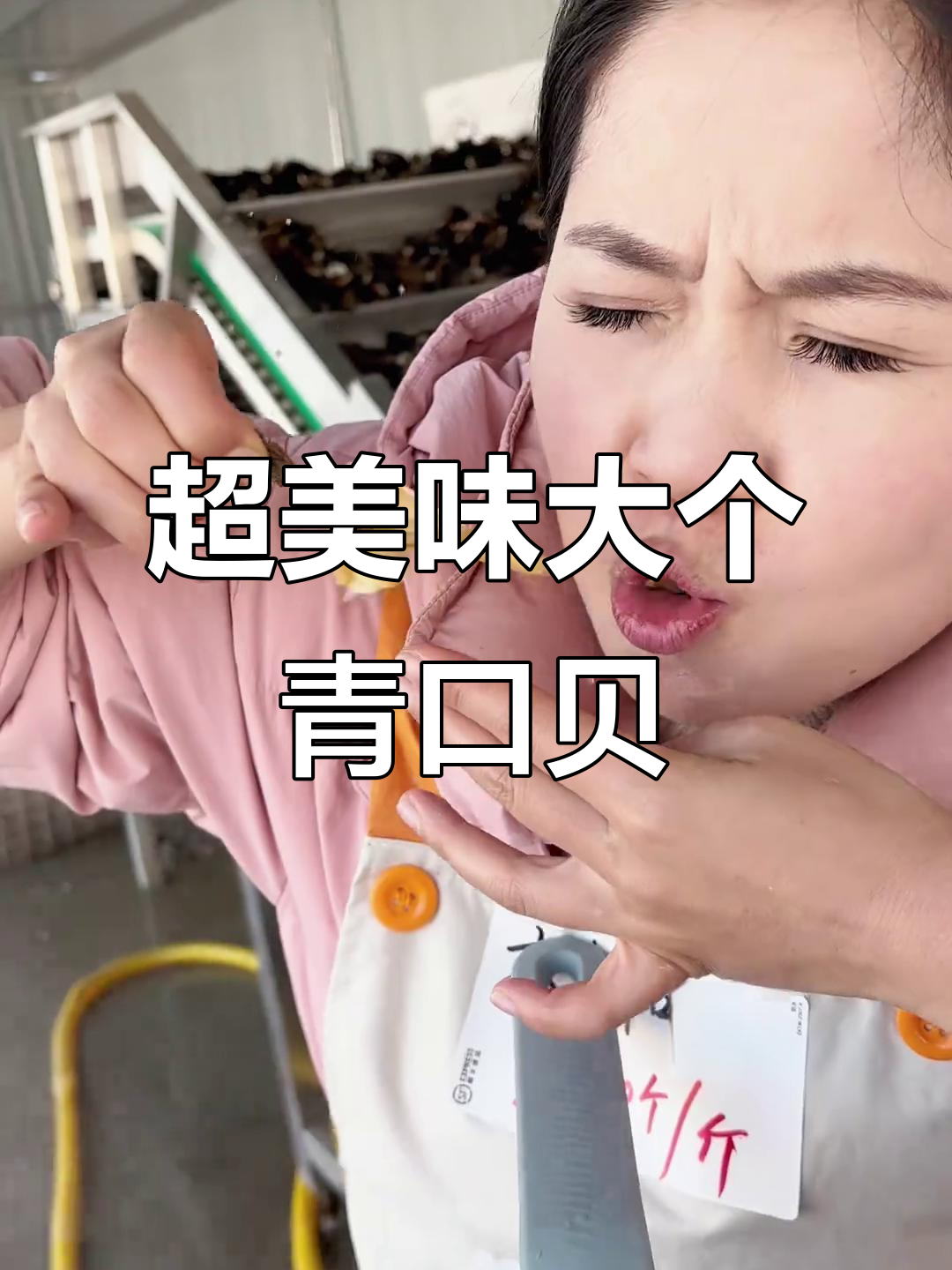 青口贝肉质鲜美,壳薄肥嫩,煮两分钟就能吃!