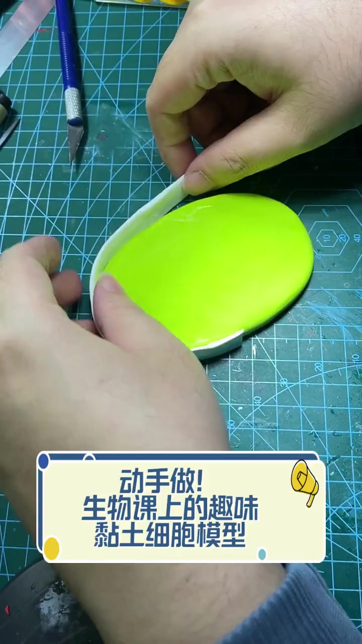 动手做!生物课上的趣味黏土细胞模型