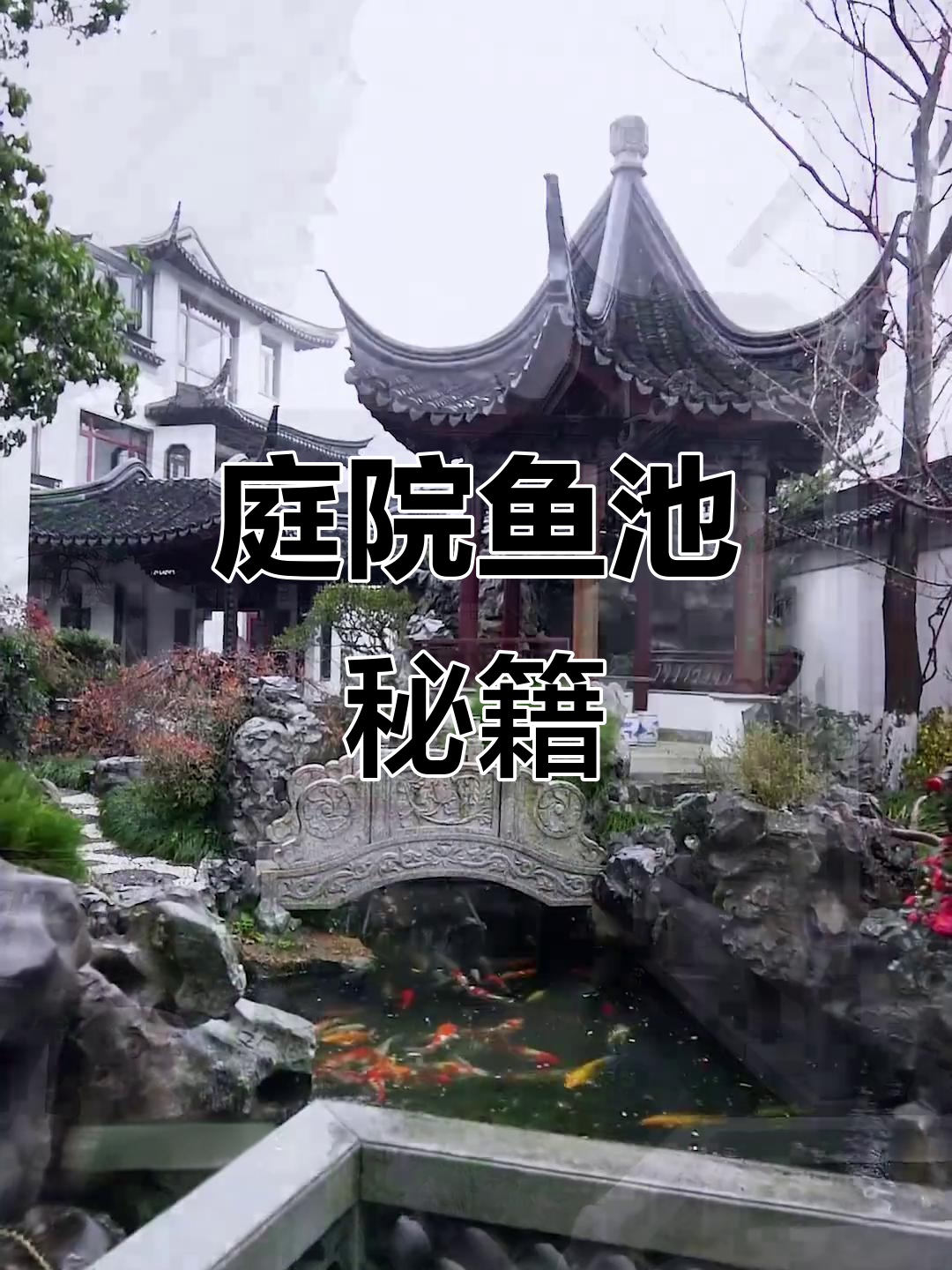 庭院鱼池设计有诀窍,大小布局不可忽视!