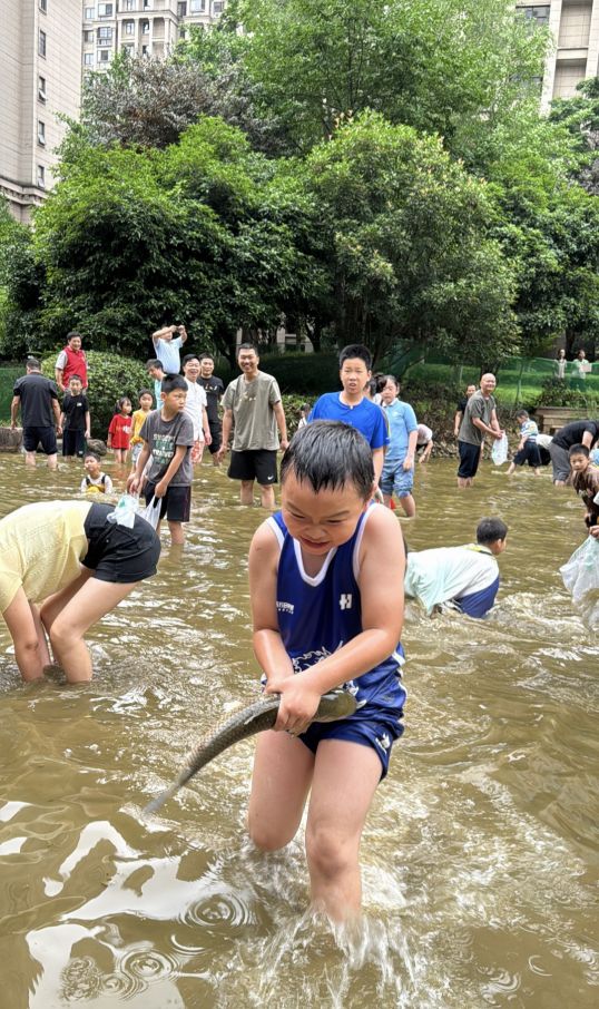 大小朋友一起“摸鱼”!长沙一小区在池塘投放300条鱼,上演捉鱼比赛