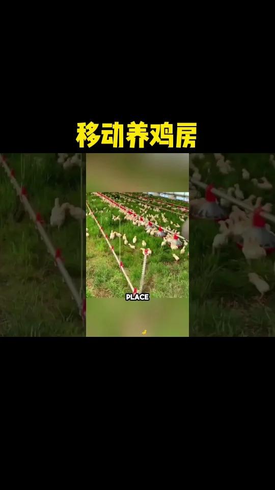 会移动的养鸡房